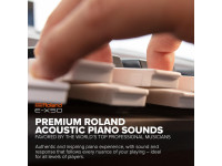 <b>Roland E-X50 Piano Portátil com Ritmos 689 Sons 300 Ritmos Porta USB Entrada Microfone 61 teclas BEST-SELLER</b> <b>Roland E-X50 Piano Portátil com Ritmos 689 Sons 300 Ritmos Porta USB Entrada Microfone 61 teclas BEST-SELLER</b>
